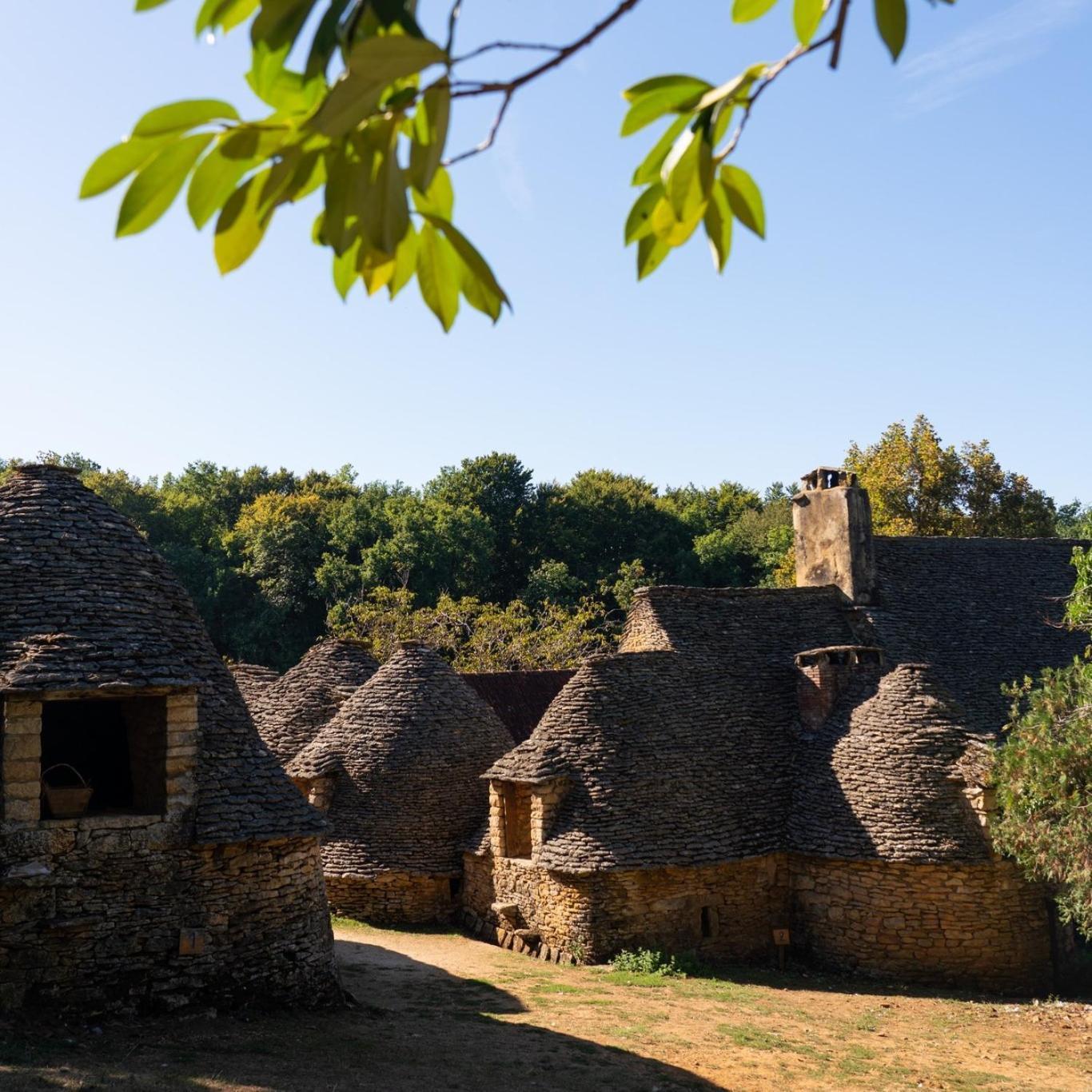 Maison En Perigord Proche Beynac Et Sarlat Cénac-et-Saint-Julien 외부 사진